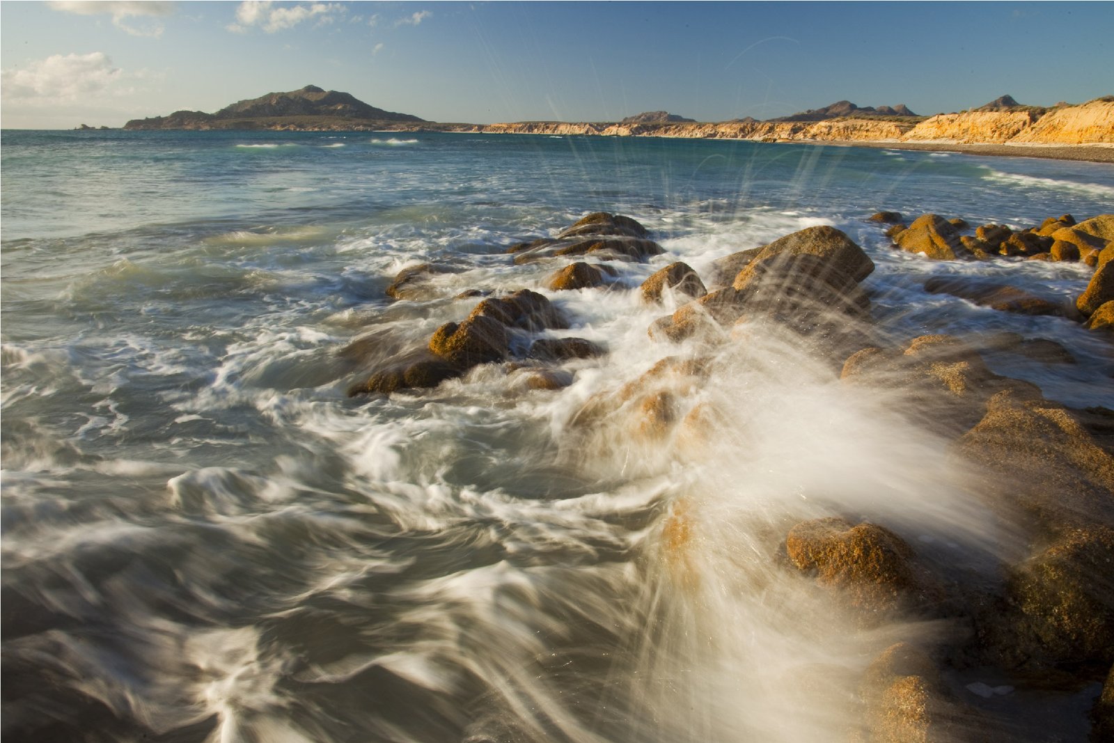 Cabo Pulmo Vivo – Defendiendo a Cabo Pulmo
